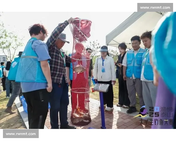 激动人心的夏日钓鱼大赛，挑战技巧与耐心的巅峰对决